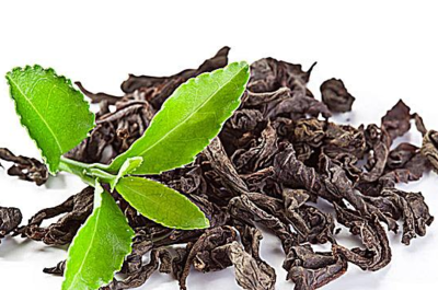 茶迷創業 加盟還是自營？解析茶葉代理與銷售之路